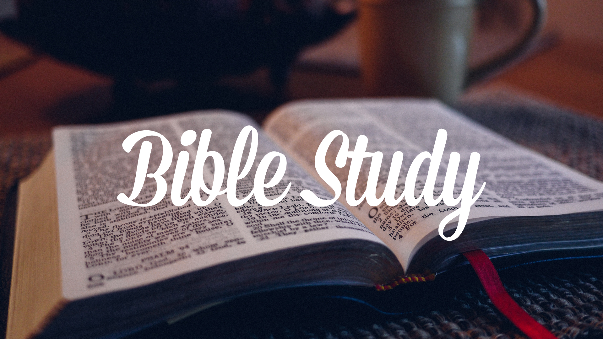 Bible study1