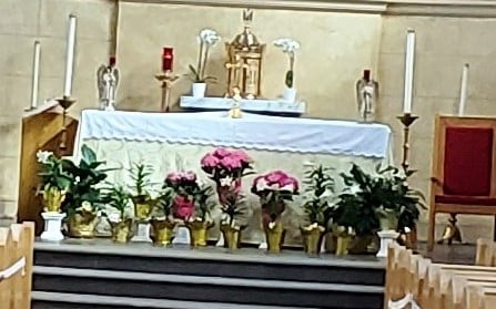 St. Rose of Lima Parish, Scarborough - Parish Information