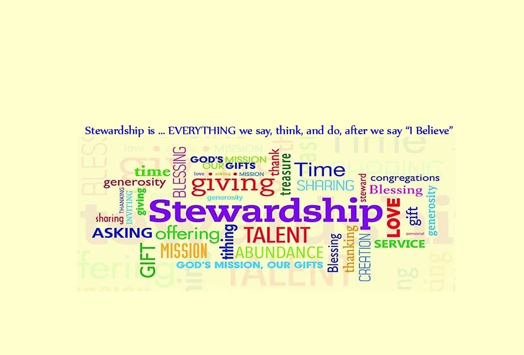 Stewardship4.